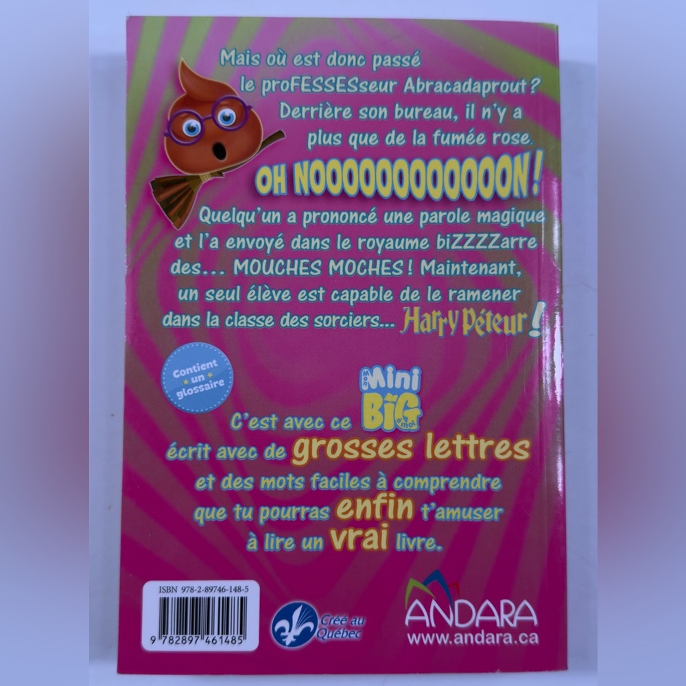 Harry Péteur - Picture 2 of 6